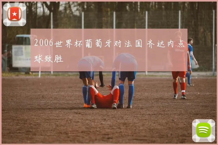 2006世界杯葡萄牙对法国 齐达内点球致胜