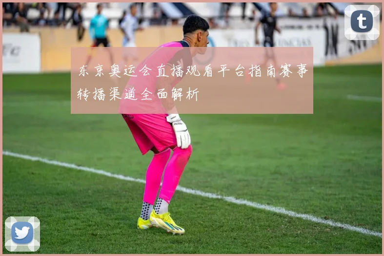 东京奥运会直播观看平台指南赛事转播渠道全面解析