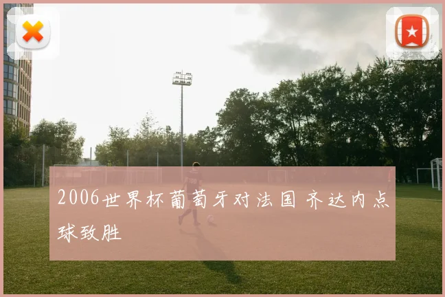 2006世界杯葡萄牙对法国 齐达内点球致胜